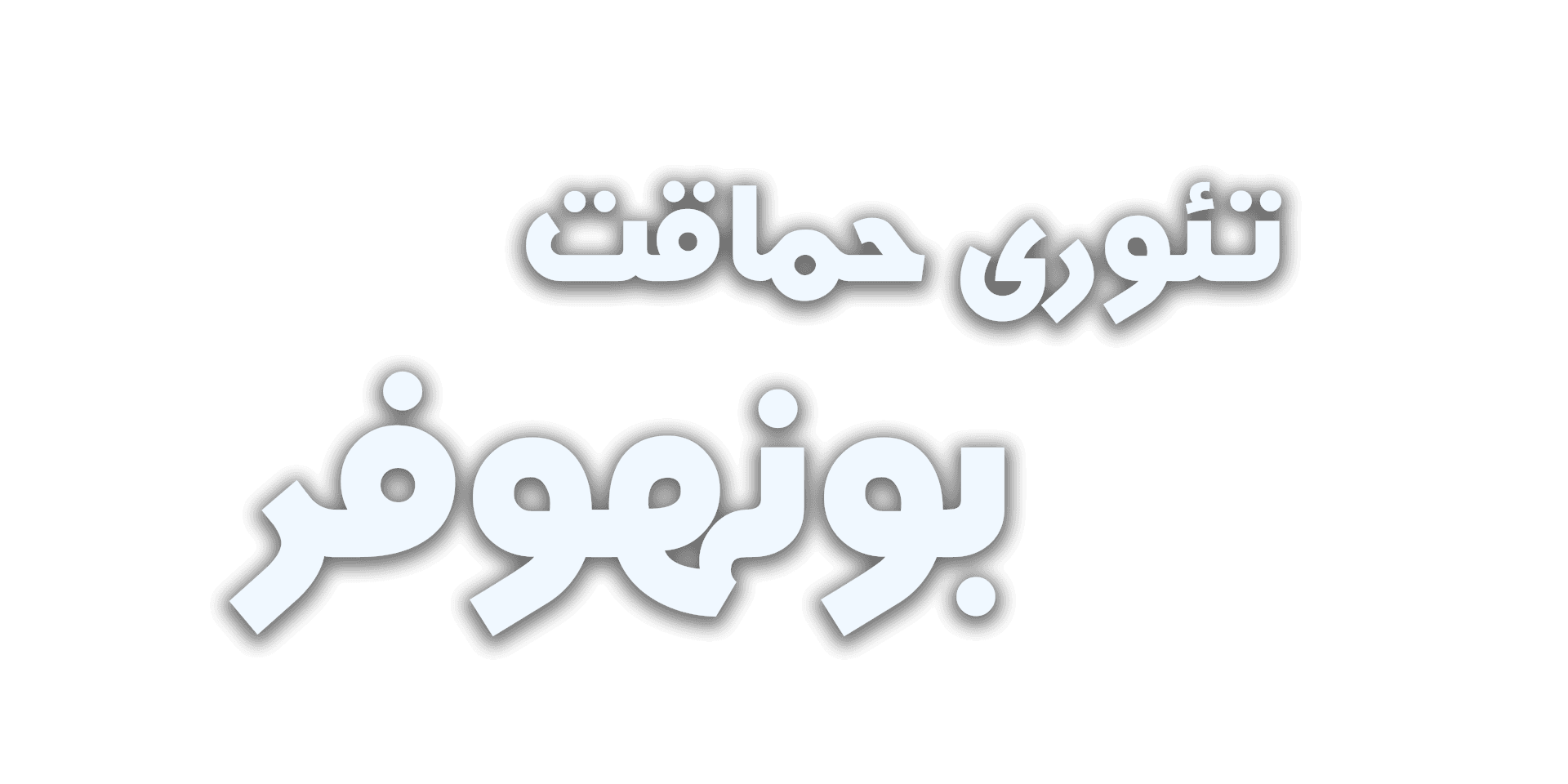 تئوری حماقت بونهوفر