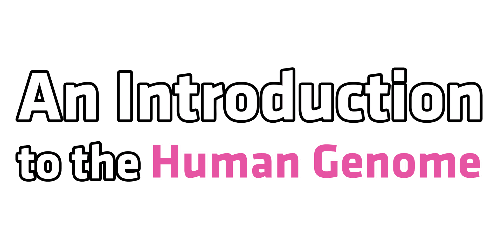 An Introduction to the Human Genome